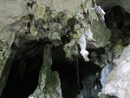 koiblog 1205 cave1.jpg