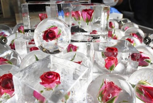 rose in ice cube