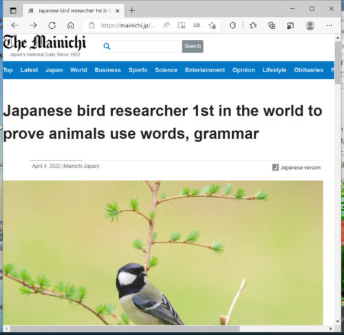 Birds use words, grammer