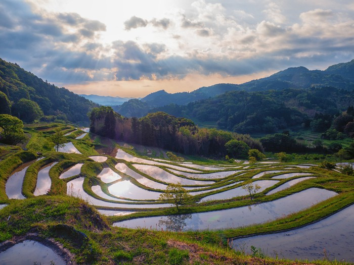 大山千枚田 日本100選の棚田 Water Filled Rice Terraces Reflect Changing Sky 恋する英語 上野陽子 言えそうで言えない毎日の英語